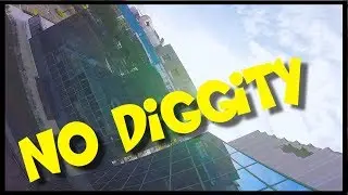 FPV FreeStyle - Chameleon No Diggity (1 Lipo with Emax RS2306 2400kv motors)