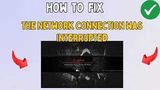 Fix The Network Connection was interrupted in Baldur's Gate 3