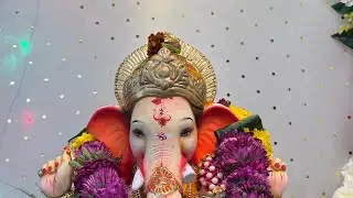Aamcha Morya Re🙏🏻🌸