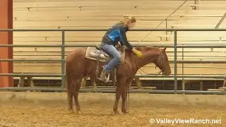 Do Rey Me - riding in indoor arena #2 - Valley View Ranch
