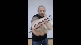 3 Punches to End a Fight