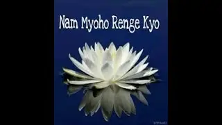 Beyond Quantum Healing Session focusing on The Ceremony in the Air , The Lotus Sutra, and NMRK