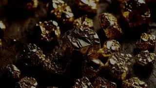 Gold Nuggets - MPS