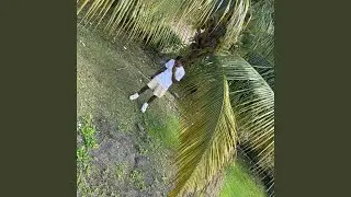 Why ?