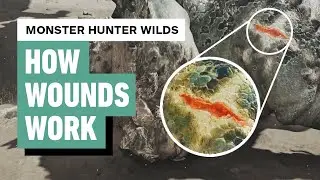 Monster Hunter Wilds: How Wounds Work