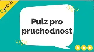 Pulz pro pr&uuml;chodnost (CZ)