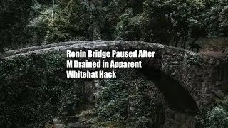 Ronin Bridge Paused After $9M Drained in Apparent Whitehat Hack