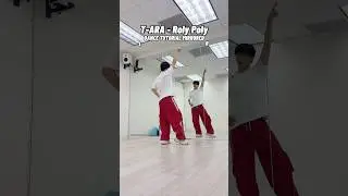 T-ARA &mdash; Урок танца &laquo;Roly Poly&raquo; (зеркальное отображение) #kpoptutorial