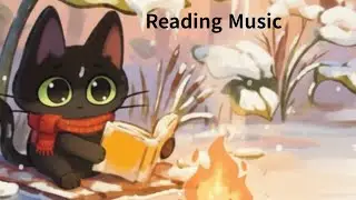 2026 Reading Music | 10 Hours of Cozy Music Box  #kitten #reading #healing #Relaxing
