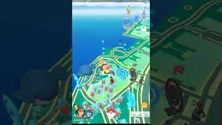 POKEMON GO:  ITS TIME TO HARVEST A TURTLE