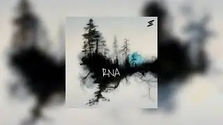 AnseaN & Elmark, Soul asset - ЦЕНА