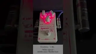 オーバードライブ「白梅」White Apricot 鳴らしてみた。Middle Gain/Middle Tone。