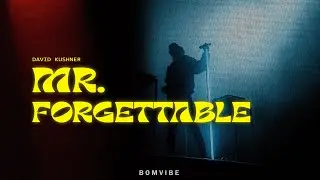 David Kushner - Mr. Forgettable (Lyrics)