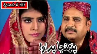 Pahinja Parawa Episode 267 Sindhi Drama | Sindhi Dramas 2022