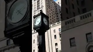 Brand Video - NOVII  #brandvideo #editorial