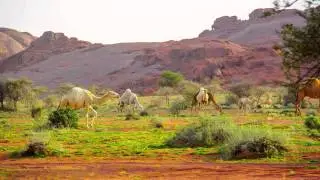 حيد الجبل للشاعر سعد الذرفي