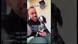 10 Reasons to Get a Dog!