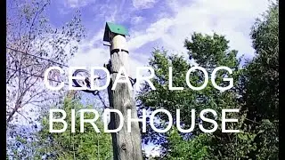 Cedar Log Birdhouse