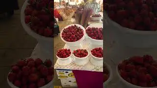 Chorsu Bazaar &ndash; The Heart of Tashkent&rsquo;s Market Culture