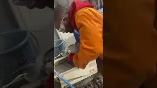 Step 2 - Core base Cutting #rockmechanics #rockengineering