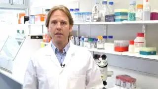 Video 2 Collecting, packaging and shipping dangerous goods