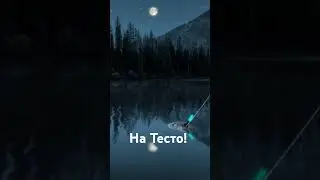 Караси на наживку тесто! 🐟 #myfishingworld #game #fish