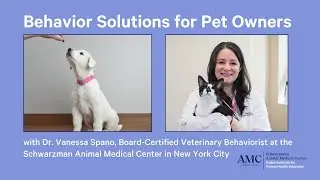 Behavior Solutions for Pet Owners with Dr. Vanessa Spano