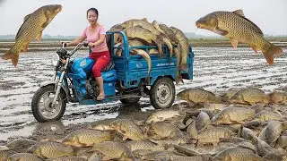Young Girl Harvest Fish in the Deep River: Amazing Catch by Hand - Survival Skills in Nature