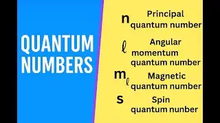 s p d f orbitals and the four quantum numbers