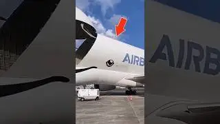 🤯Super Rarest Airplane 🛫 | #airbus
