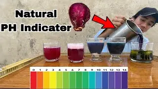 &ldquo;Testing pH Levels Using Just Red Cabbage?! 🤯&rdquo;