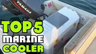 Best Marine Cooler of 2026 | Marine Cooler Buying Guide
