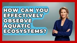 How Can You Effectively Observe Aquatic Ecosystems? - The Student Atlas
