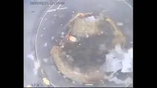 Sommerlyvej 8400 video fra t stykke i septictank og ind til toilet