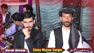 Zama Mayan Zargai | Norak Showqi Pashto New Medani Song | Part 5