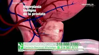 🔴 Hora 13 Noticias - Miércoles, 4 de febrero de 2026, emisión 1:00 p. m.