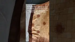 76. RS 455 डोला सिल्क साड़ी Dola Silk saree free shipping India 7 days 1-3 days in delhi COD Availab