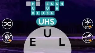 Wordscapes Level 1037 Answers