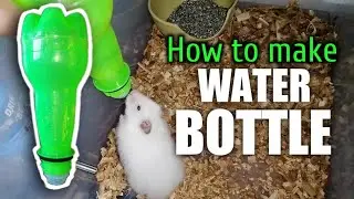 How to make DIY WATER BOTTLE for HAMSTERS using rycled bottle