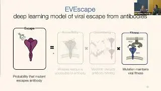 Unsupervised early warning of viral antibody escape to design & test variant-proof therapeutics