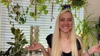 Apartment Plant Tour - Spring 2021 Edition