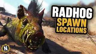 Fallout 76: Fast Rad Hog Spawns for Challenges