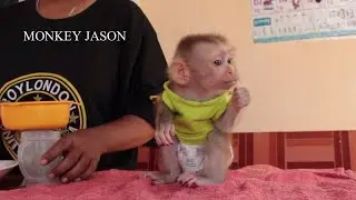 My God! Baby Jason Eat Orange Fruit Hurriedly While Sit Whimper Request Mom To Drink Orange Juice