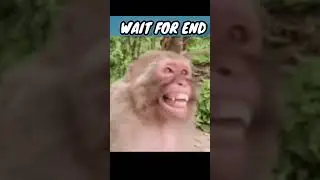 The Rahi rosting video The  Rahi ko roast kar diya #viral #youtube