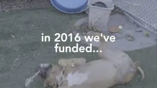 7 Million Meals