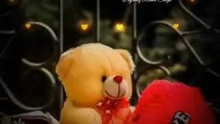 Teddy Bear Day | Teddy Bear Day WhatsApp status | Full Dcreen Status | Teddy Special |10 February