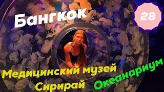 Бангкок. Анатомический музей Сириджай. Океанариум Siam Ocean World