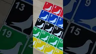 Racing Pigeon Accessories #duiven #tauben #pigeon