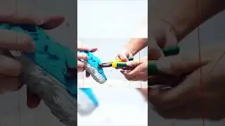 Dog cleaning teething slippers toy test