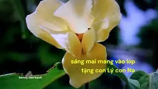 HƯƠNG HOA MƯỜI BA.